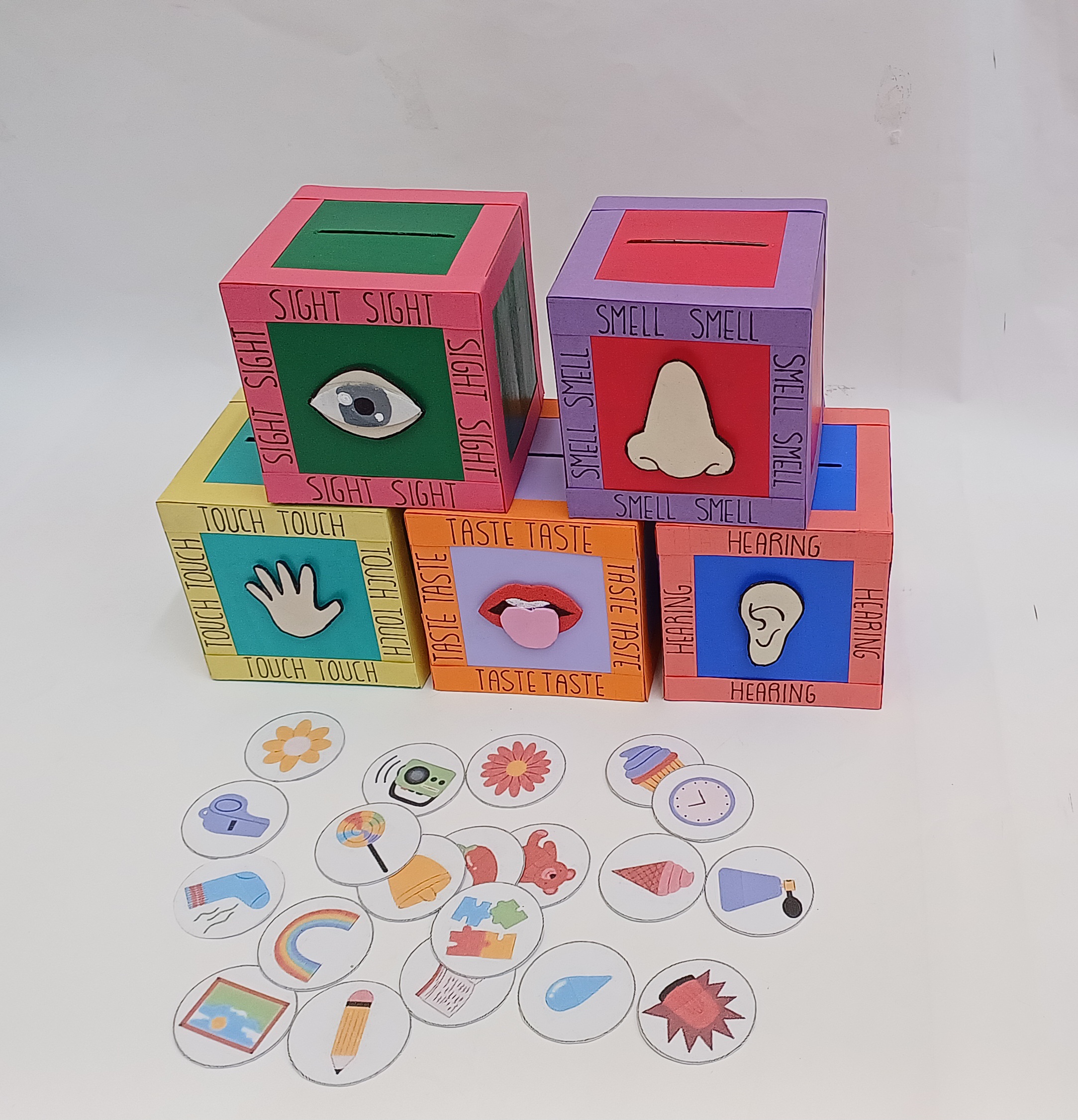 Sensory Organs Boxes