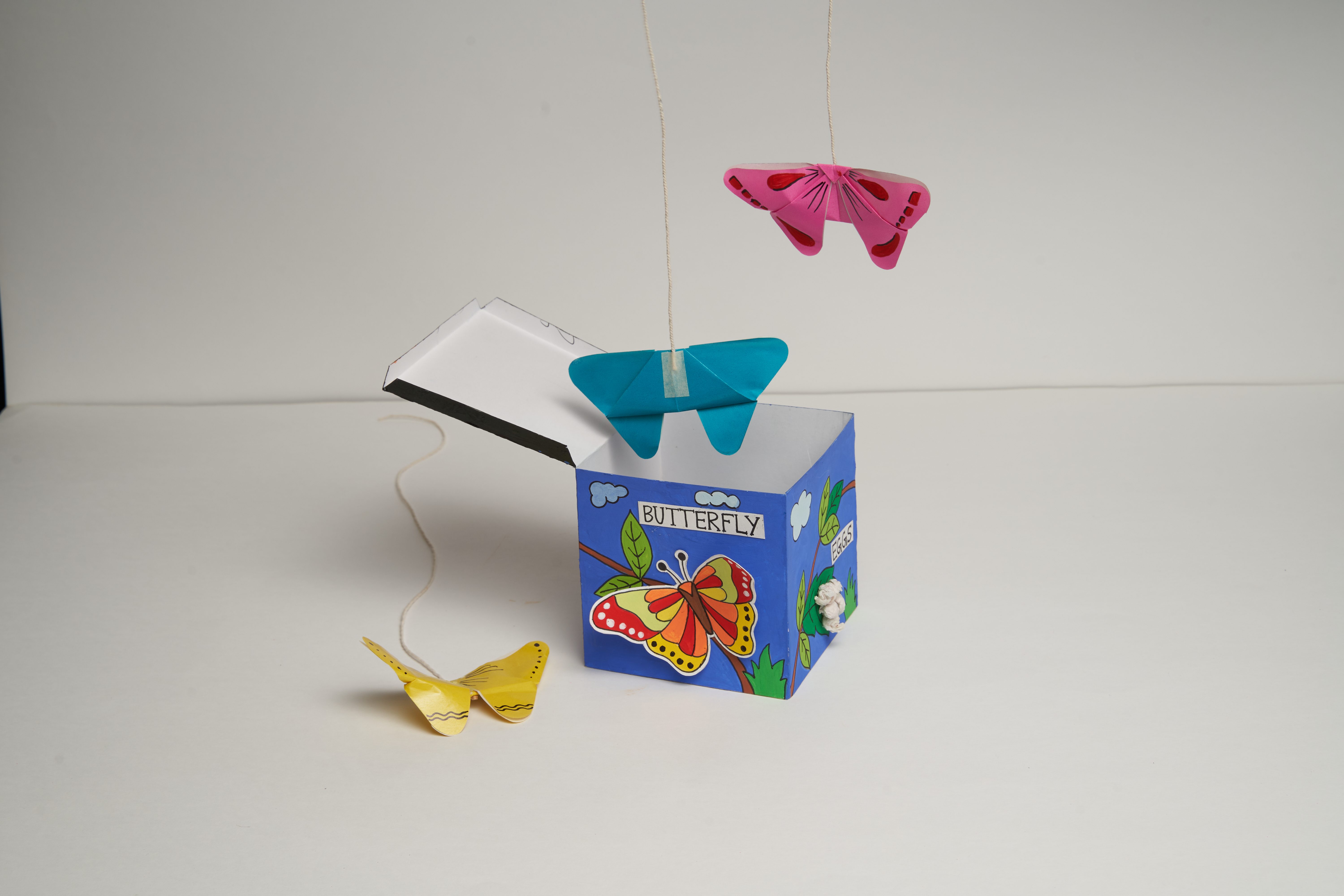 Lifecycle of a Butterfly