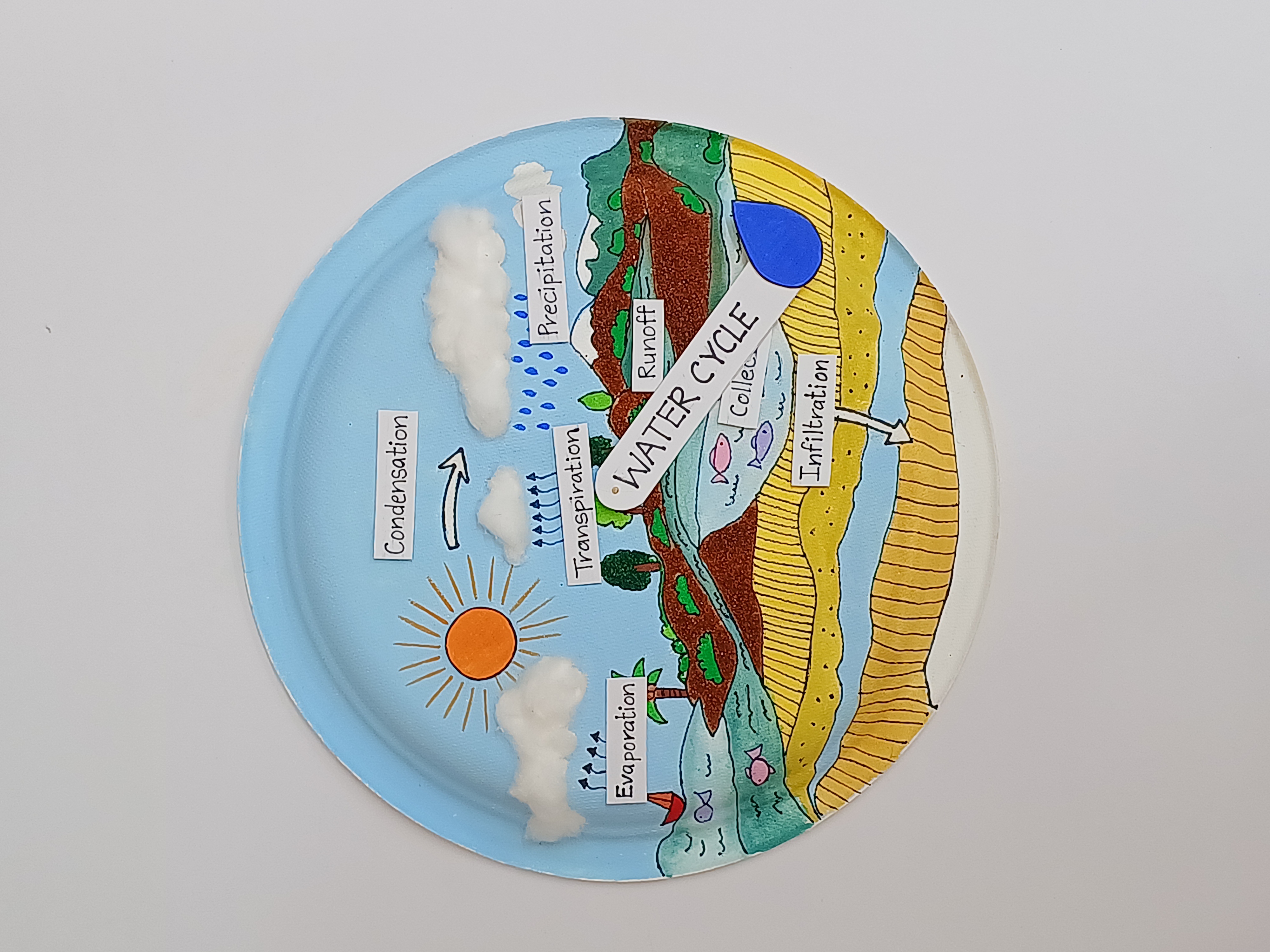 Water Cycle on Paper Plate