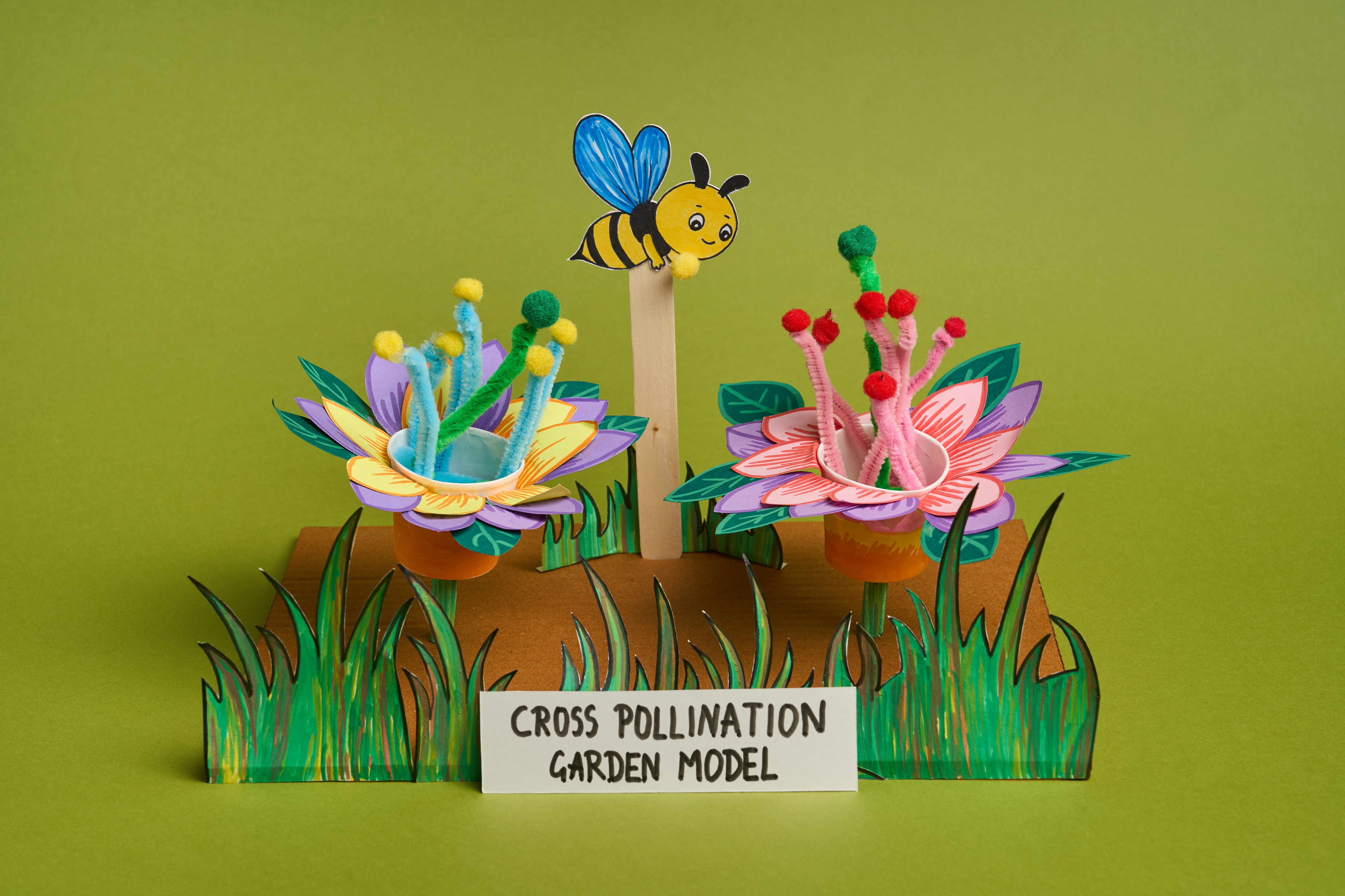 Pollination of Flowers Working Model