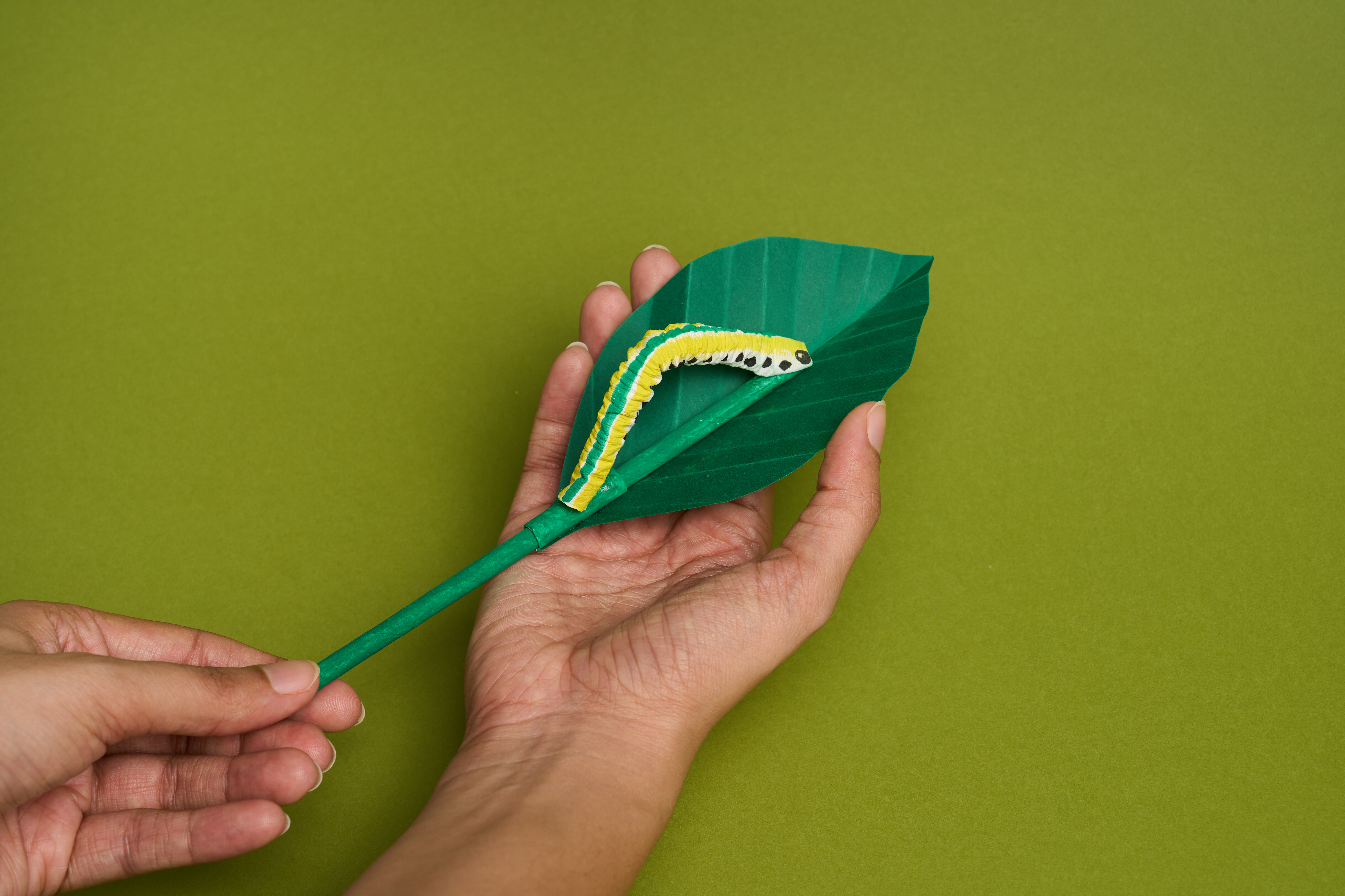 Caterpillar Craft Using Paper