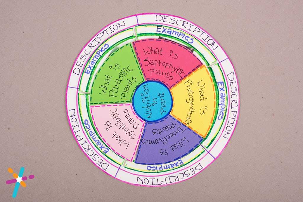 Plant Nutrition chart craft for Kids | Creative science projects