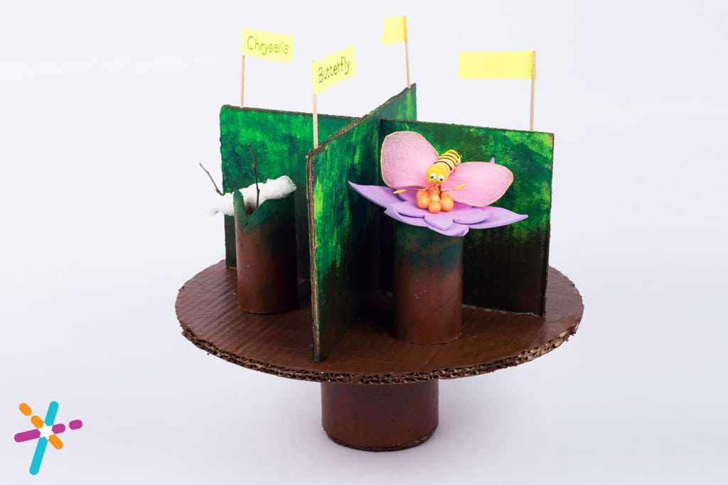 Learn how to build a 3d butterfly craft | Best out of waste craft