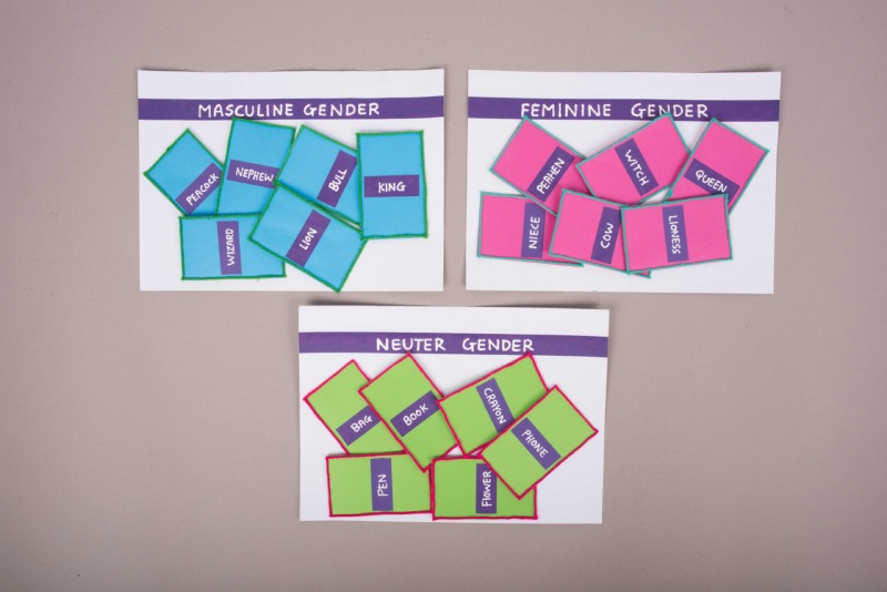 Enjoyable Noun-Gender activity for class 5 | English Craft