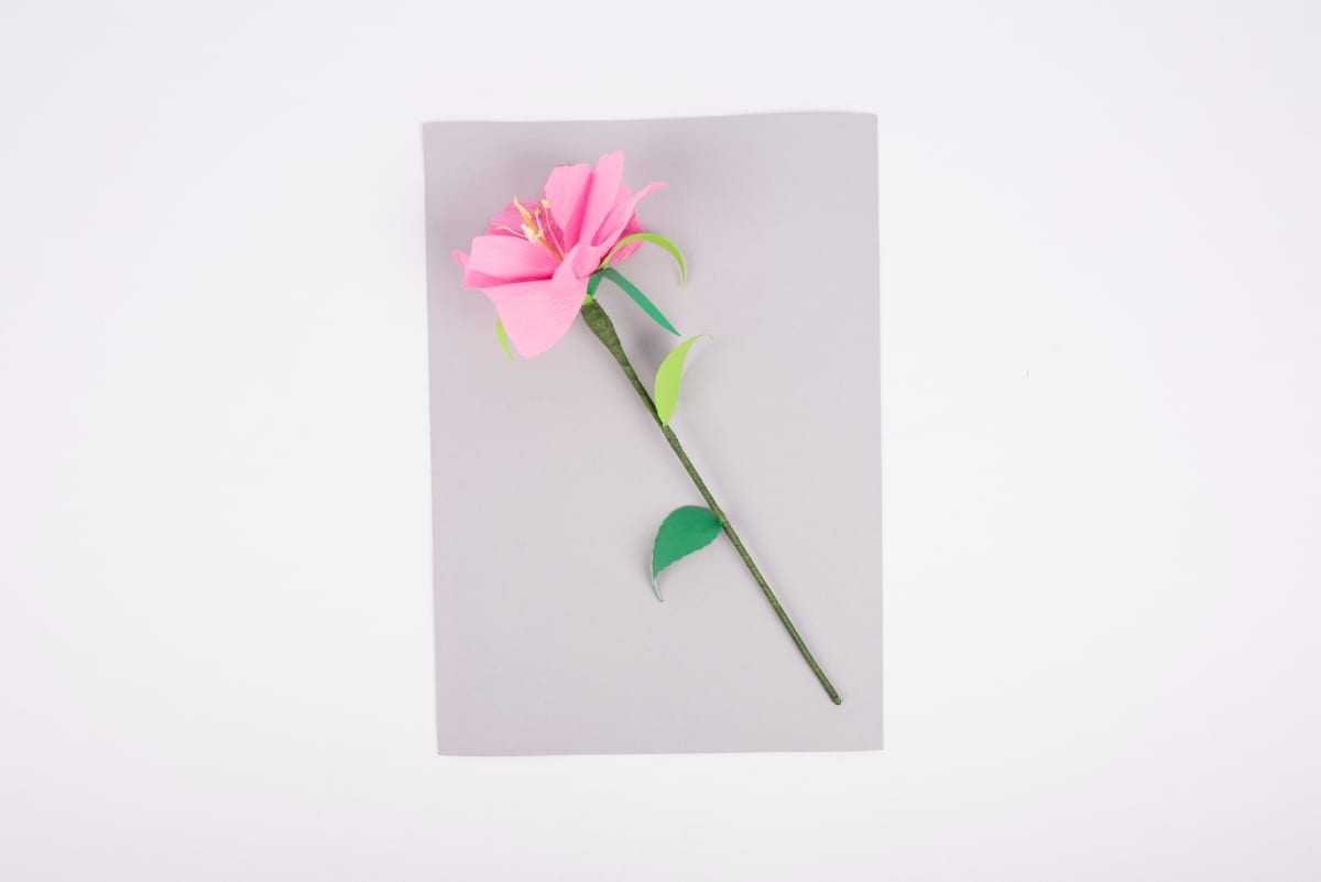 Create an Easy paper flower craft for School