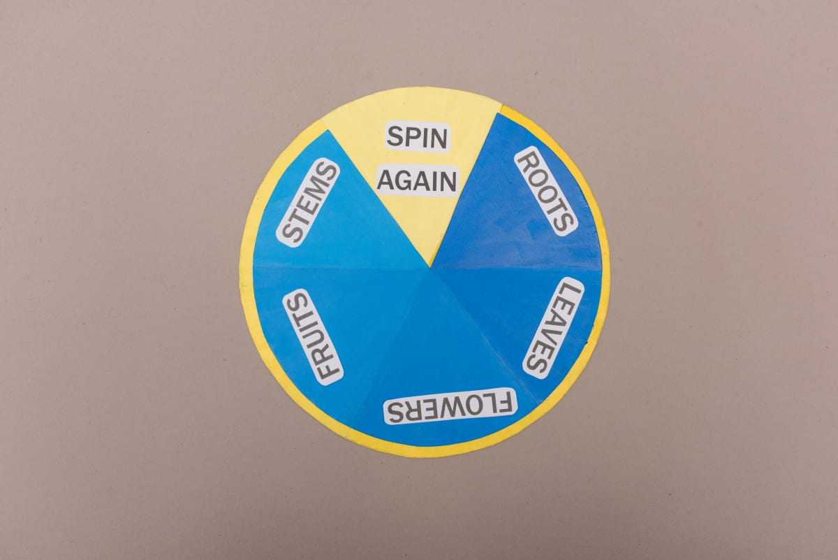 Parts of Plants We Eat as Food | Paper Craft Activity