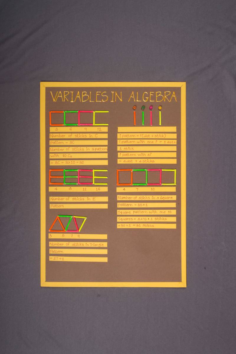 Understanding Variables in Algebra activity - Maths Craft