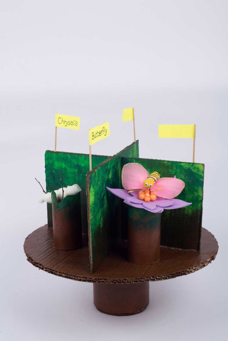 Butterfly Life Cycle Model Craft Project