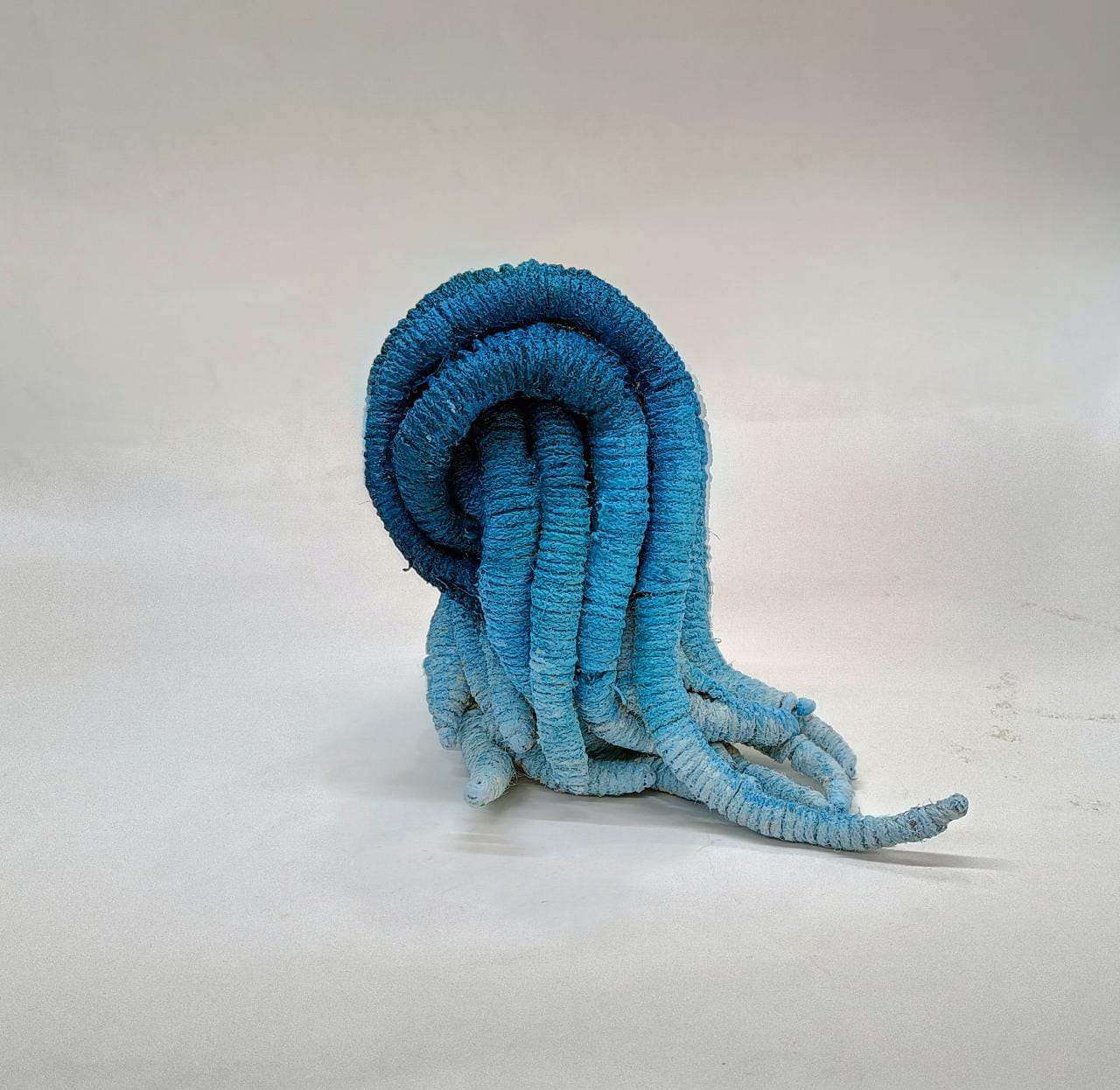 Learn Environment Day Craft Ideas for Kids