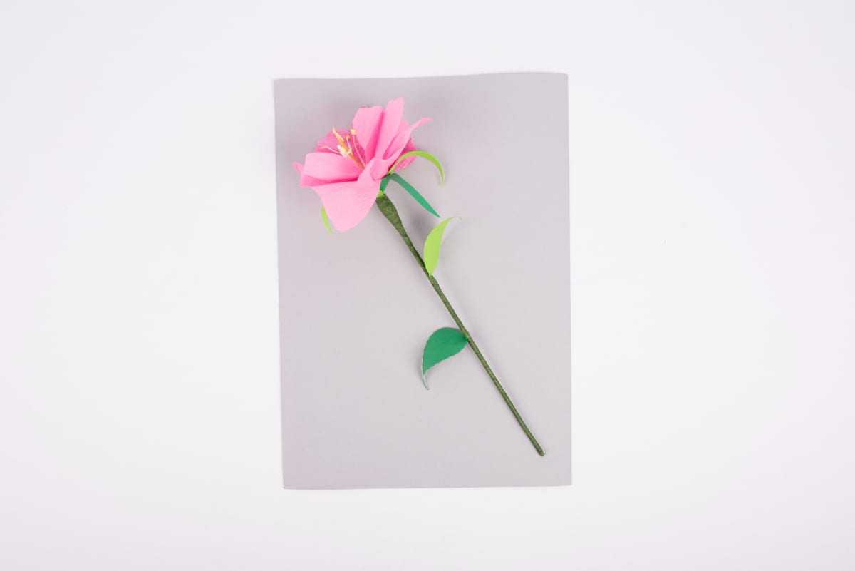 Creative Paper Flower Craft Activity in Simple Steps