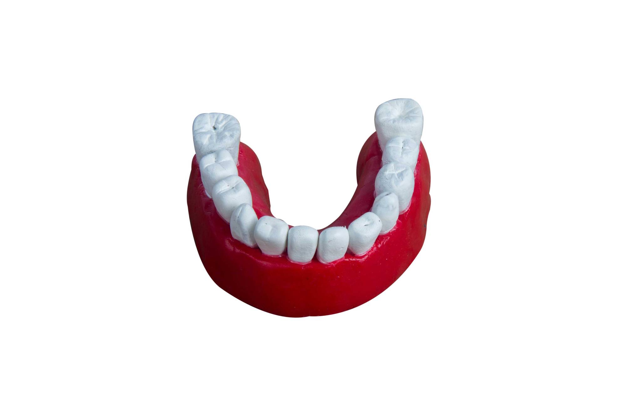 Create a clay model of teeth for science project