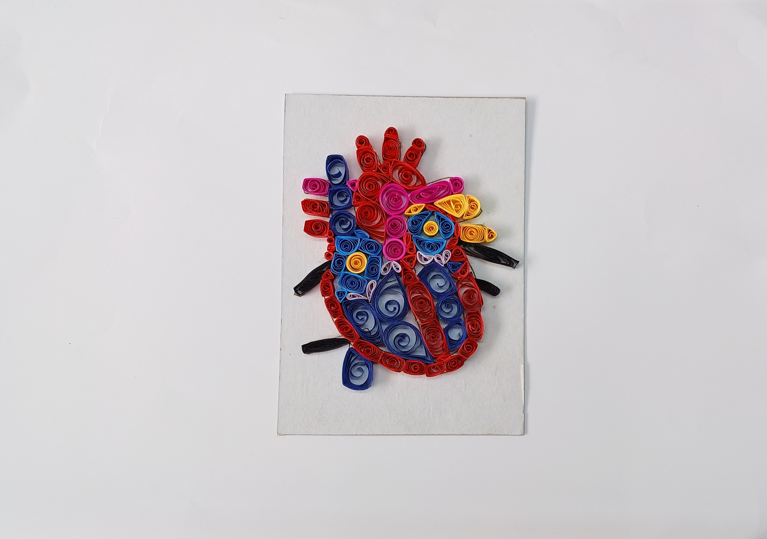 DIY Human Heart Project Activity for Kids