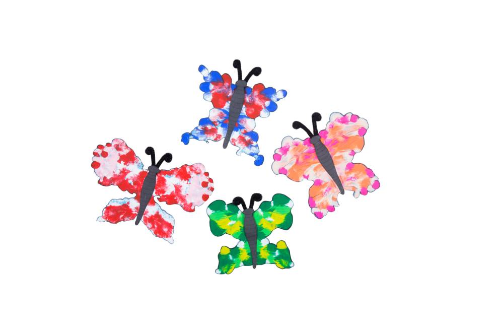 Easy to Learn Butterfly Symmetry Activities with Fevicreate